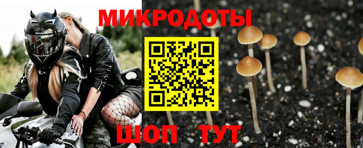 Галлюциногенные грибы Magic Shrooms  Вход с VPN  даркнет сайт  Славгород 